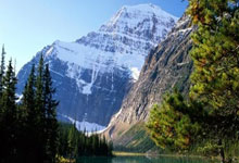 天涯论坛牛元帅：一个被网络选中的平凡人